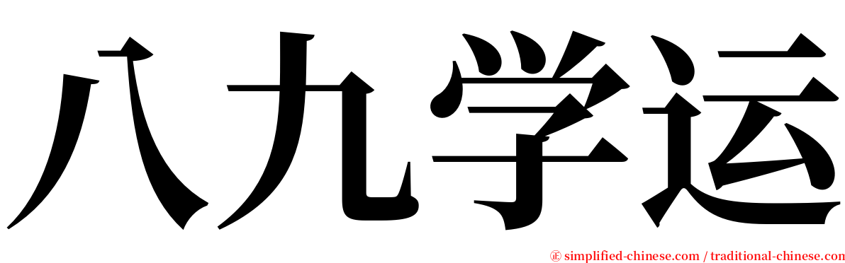 八九学运 serif font