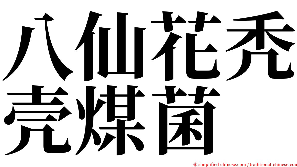 八仙花秃壳煤菌 serif font