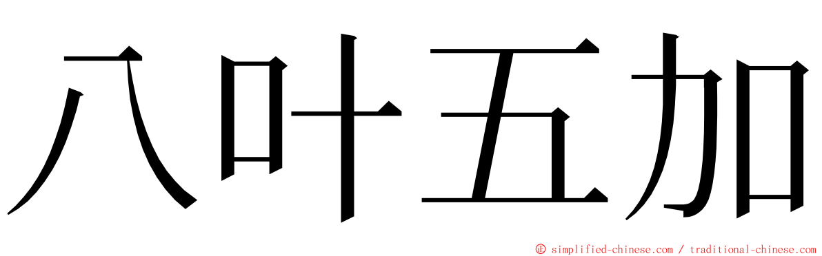 八叶五加 ming font