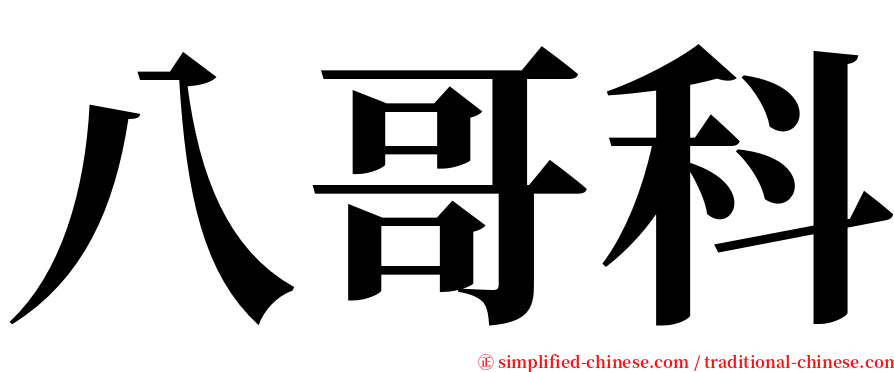 八哥科 serif font