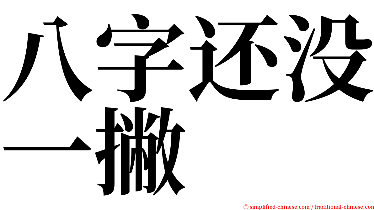 八字还没一撇 serif font