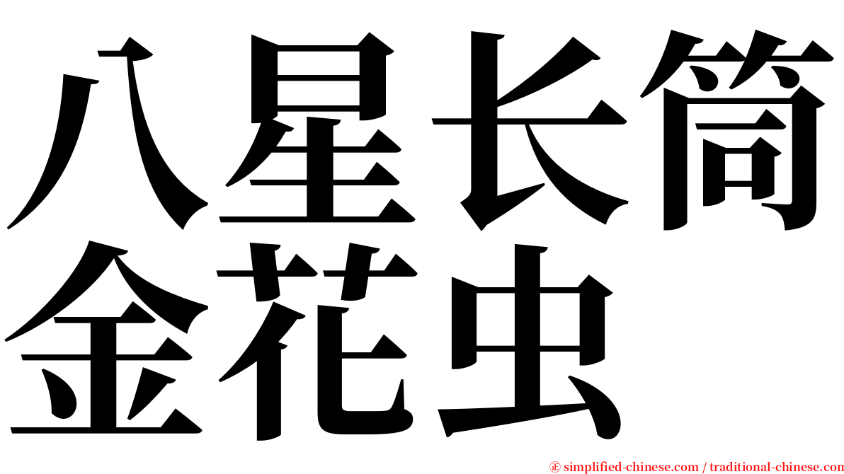 八星长筒金花虫 serif font