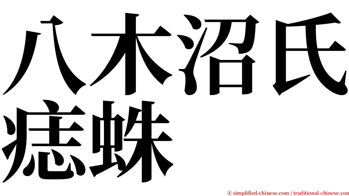 八木沼氏痣蛛 serif font