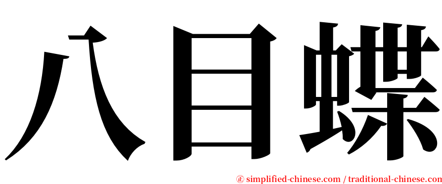 八目蝶 serif font