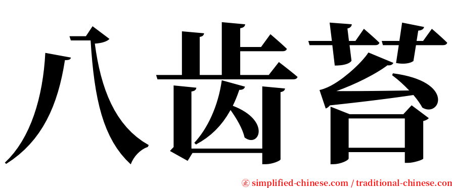 八齿苔 serif font