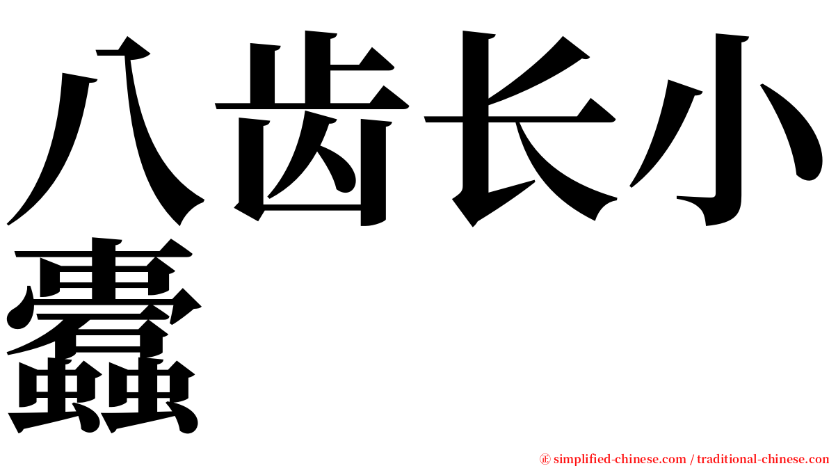 八齿长小蠹 serif font