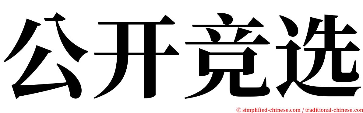 公开竞选 serif font