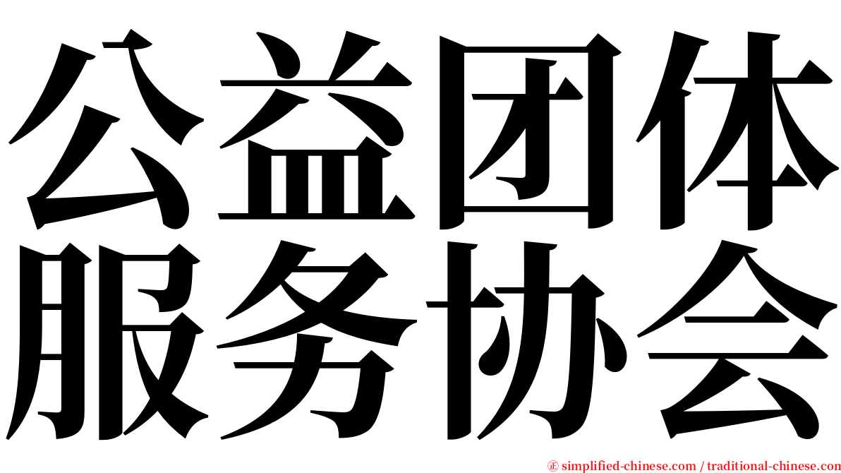 公益团体服务协会 serif font