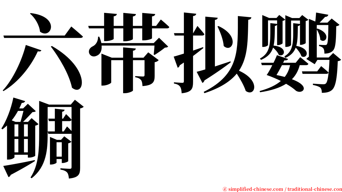 六带拟鹦鲷 serif font