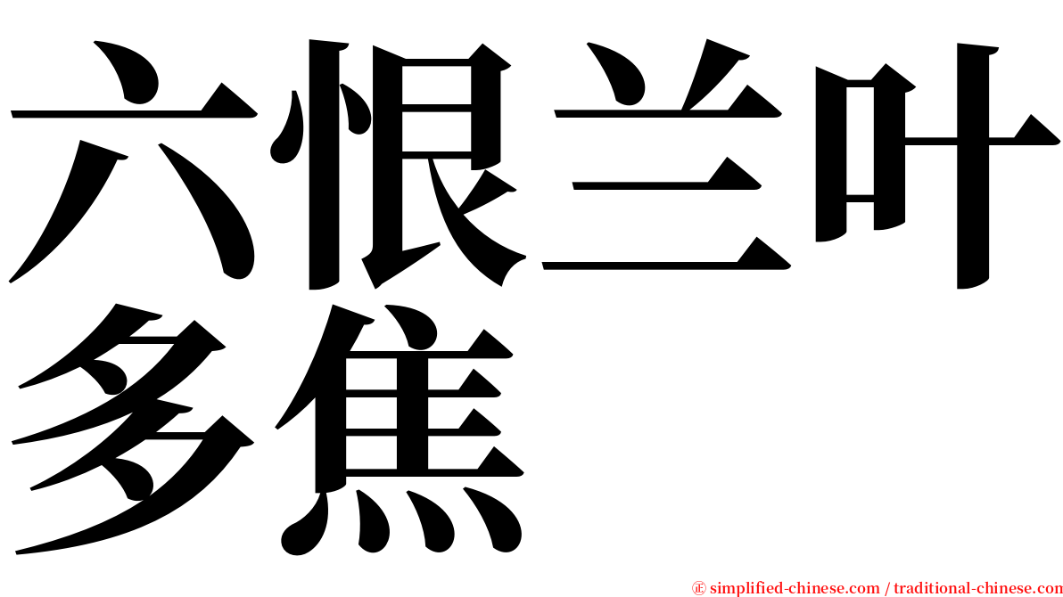 六恨兰叶多焦 serif font