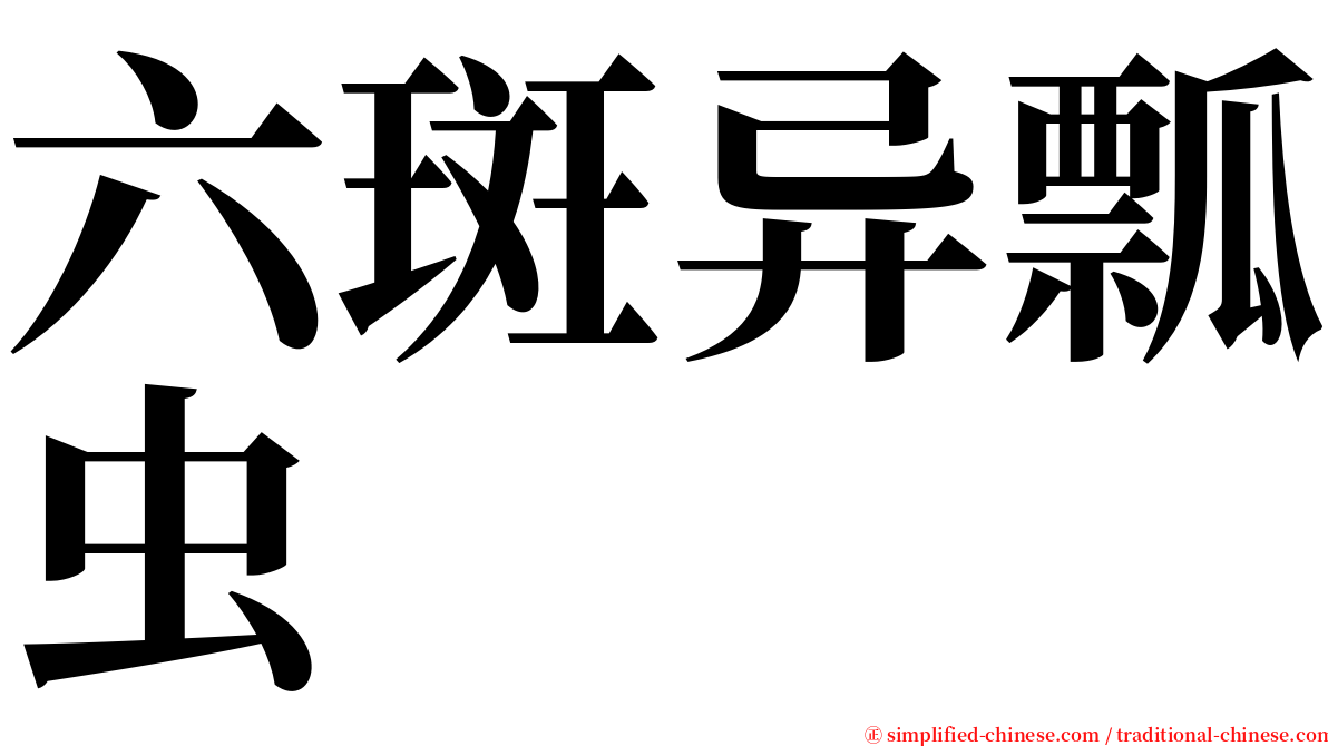 六斑异瓢虫 serif font