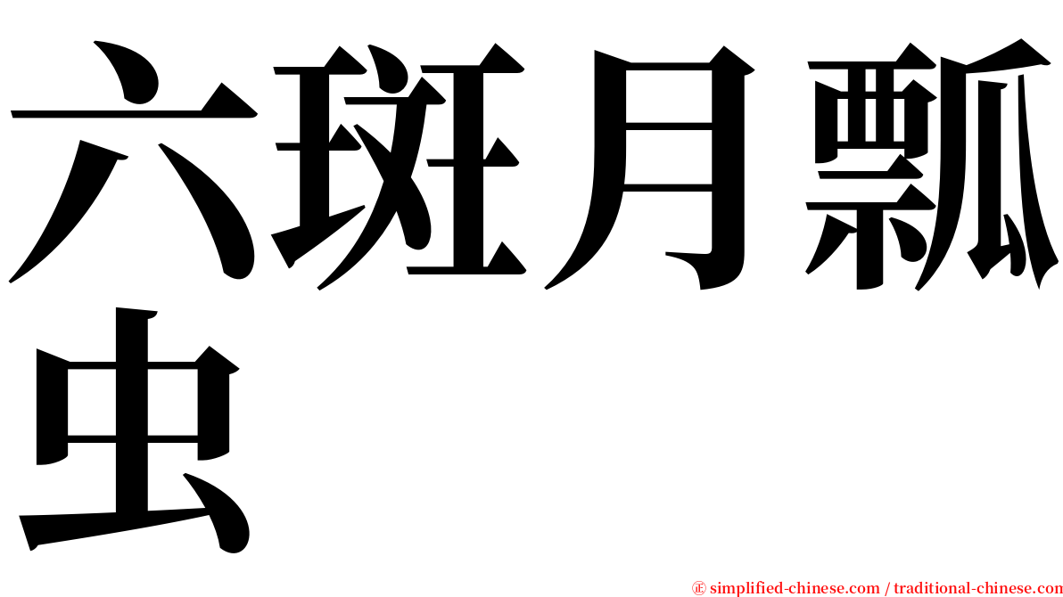 六斑月瓢虫 serif font