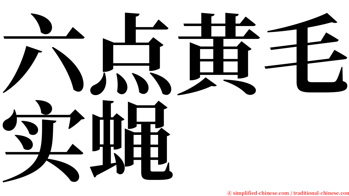 六点黄毛实蝇 serif font