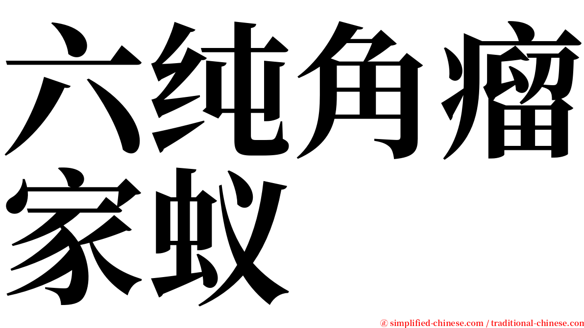 六纯角瘤家蚁 serif font