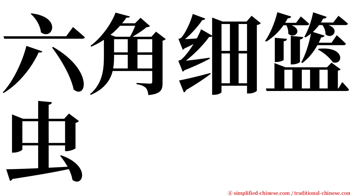 六角细篮虫 serif font