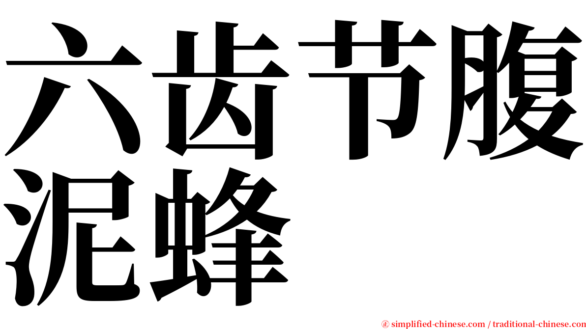 六齿节腹泥蜂 serif font