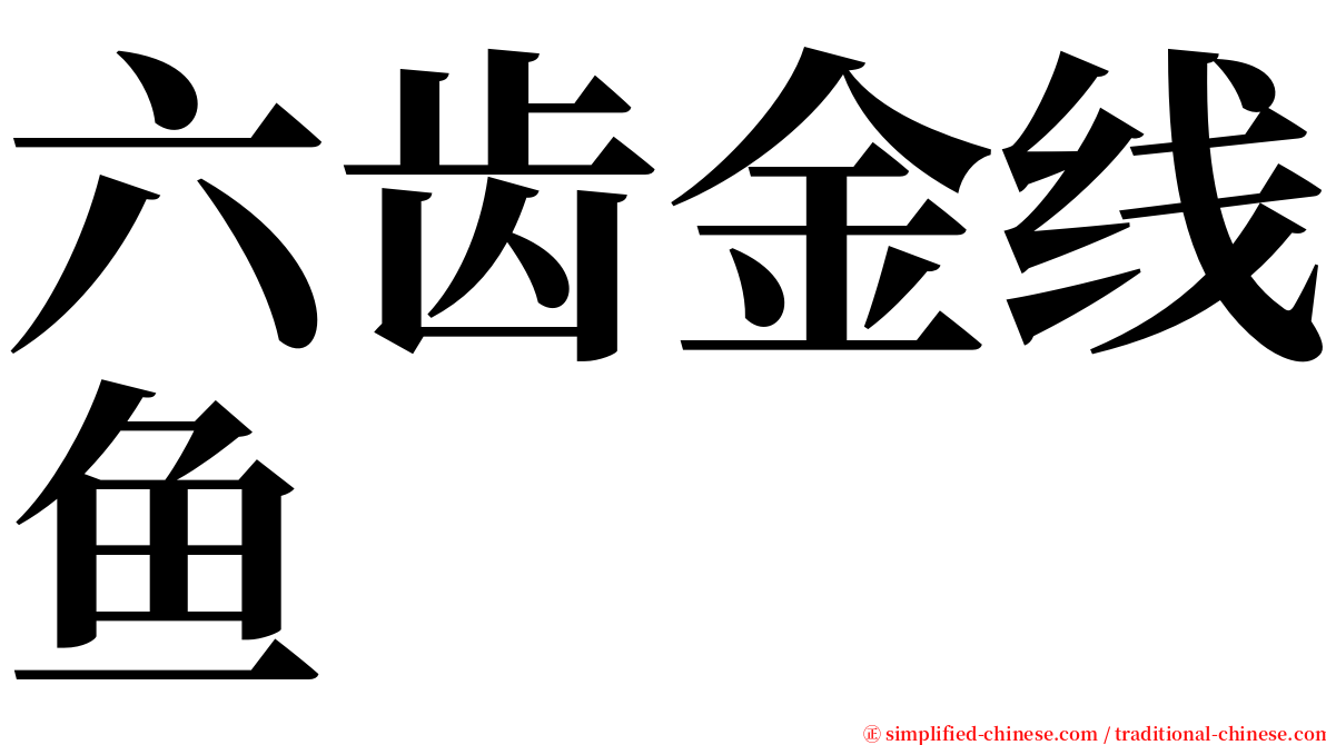 六齿金线鱼 serif font