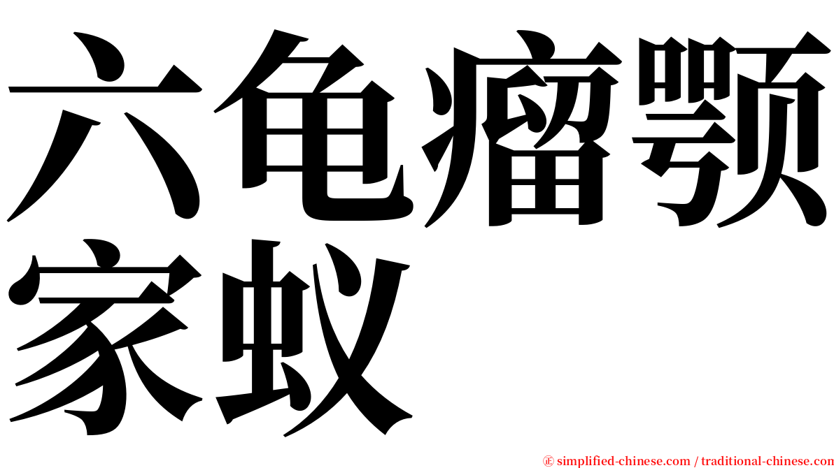 六龟瘤颚家蚁 serif font