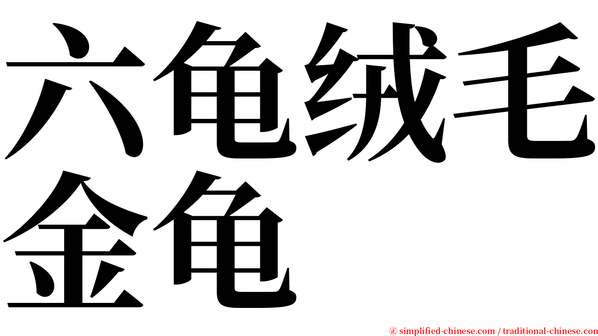 六龟绒毛金龟 serif font