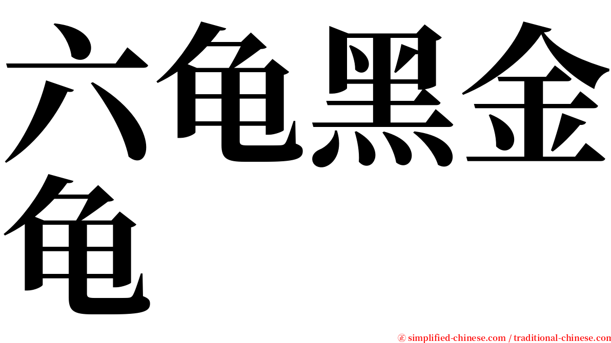 六龟黑金龟 serif font