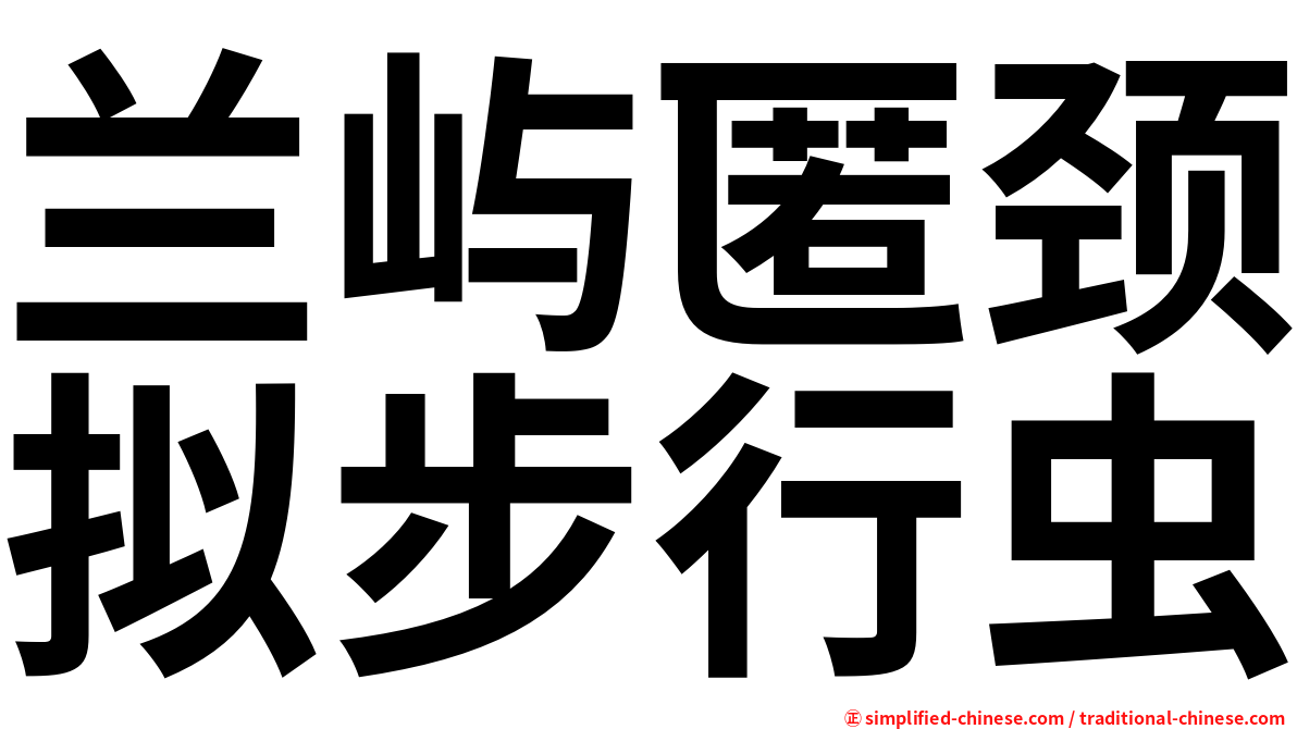 兰屿匿颈拟步行虫