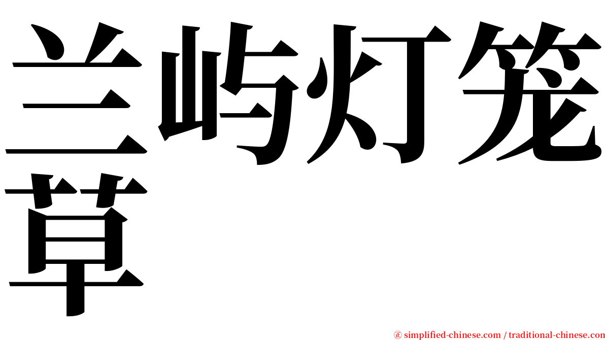 兰屿灯笼草 serif font