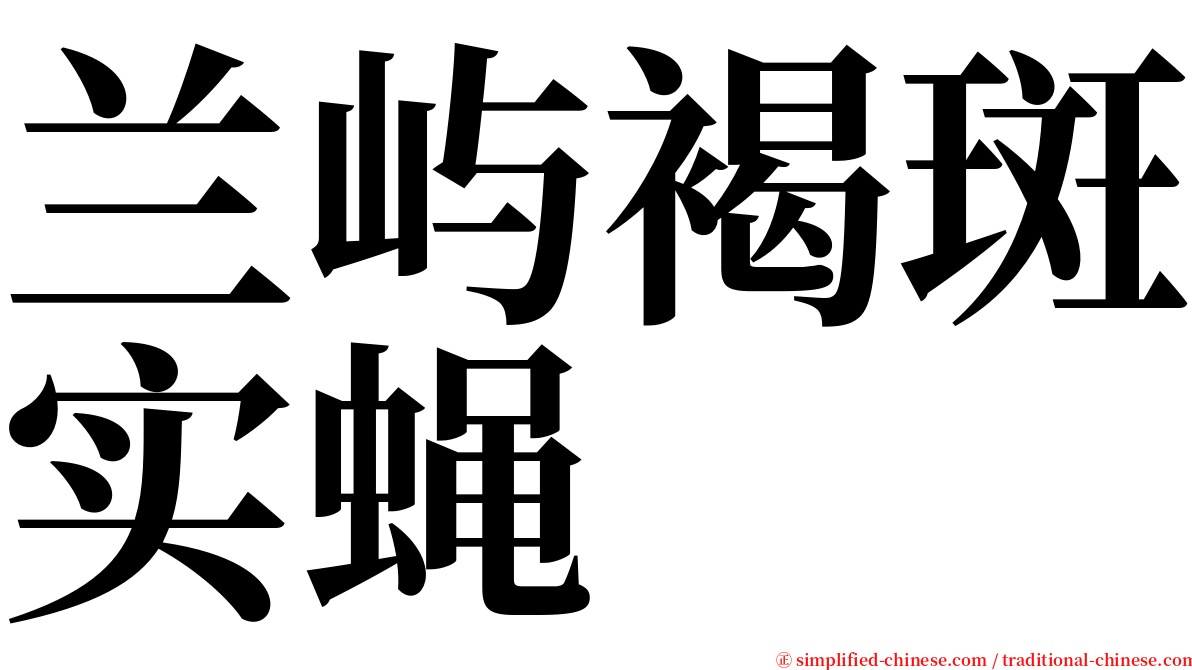 兰屿褐斑实蝇 serif font