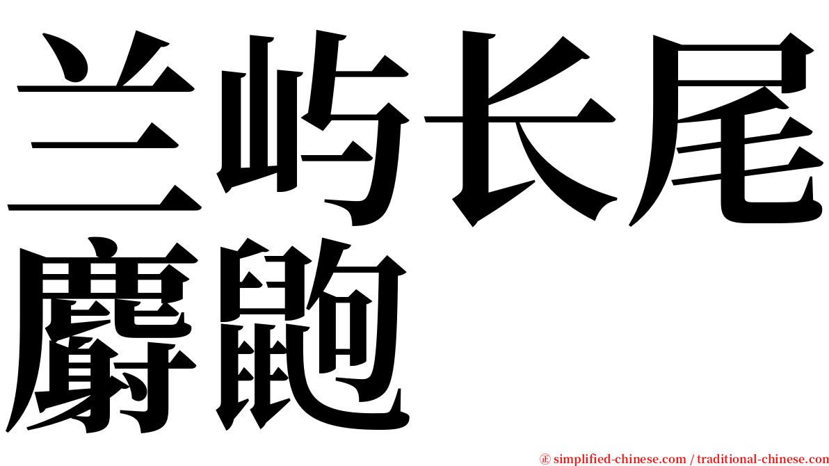 兰屿长尾麝鼩 serif font