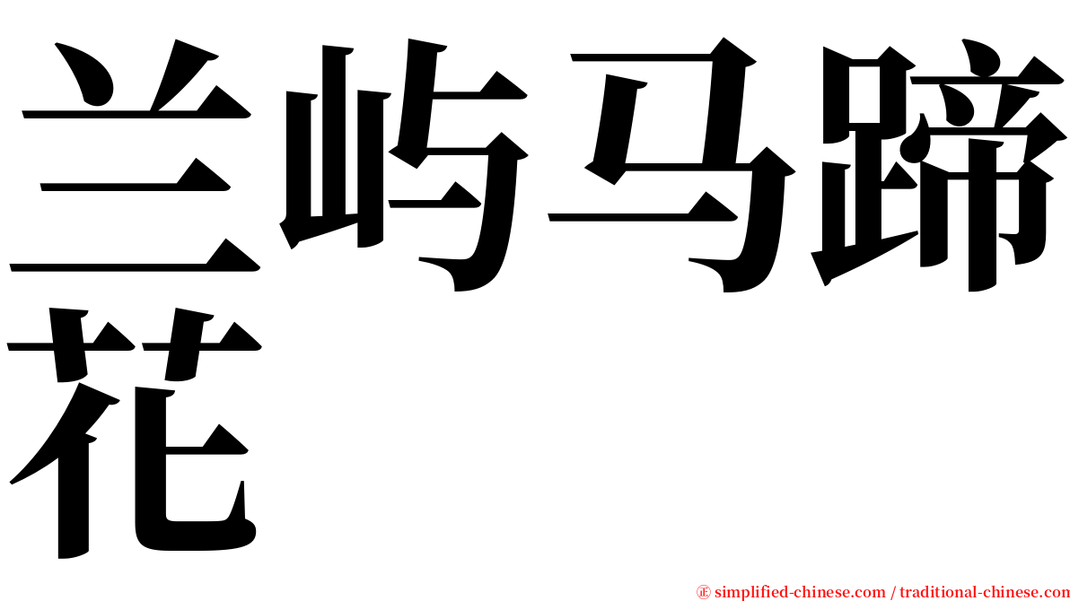 兰屿马蹄花 serif font