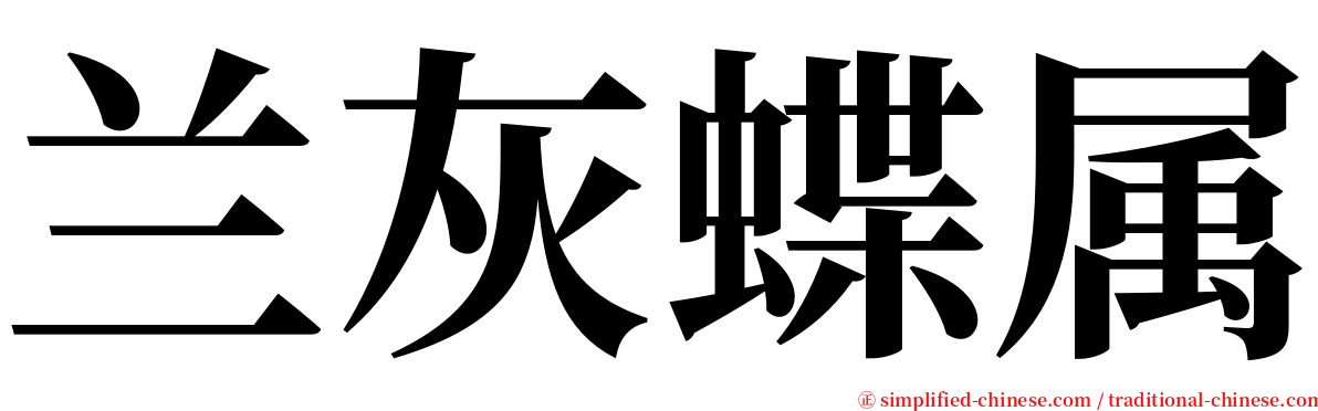 兰灰蝶属 serif font