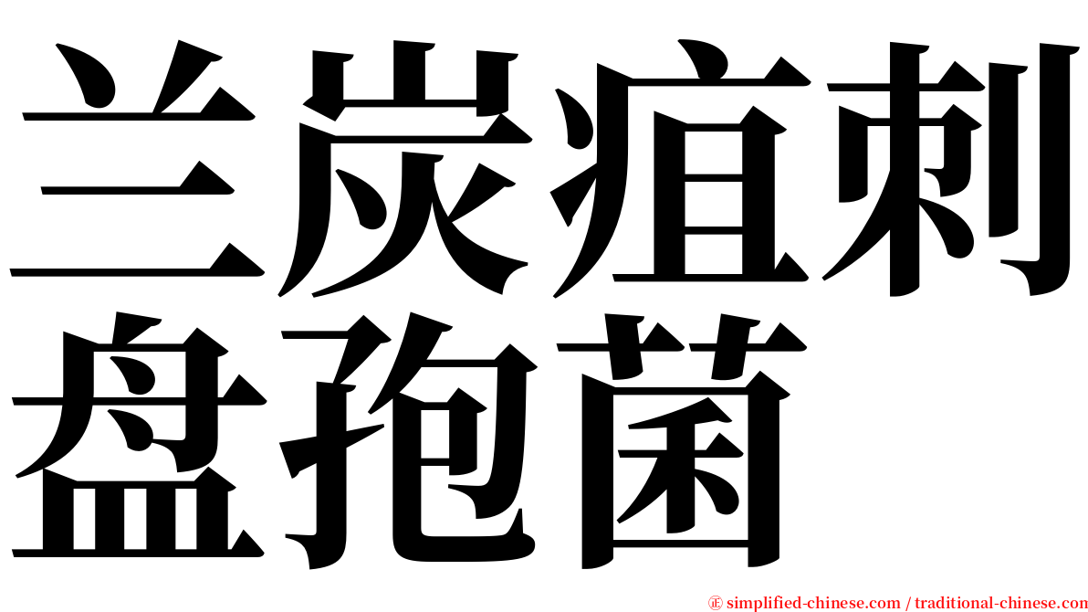 兰炭疽刺盘孢菌 serif font