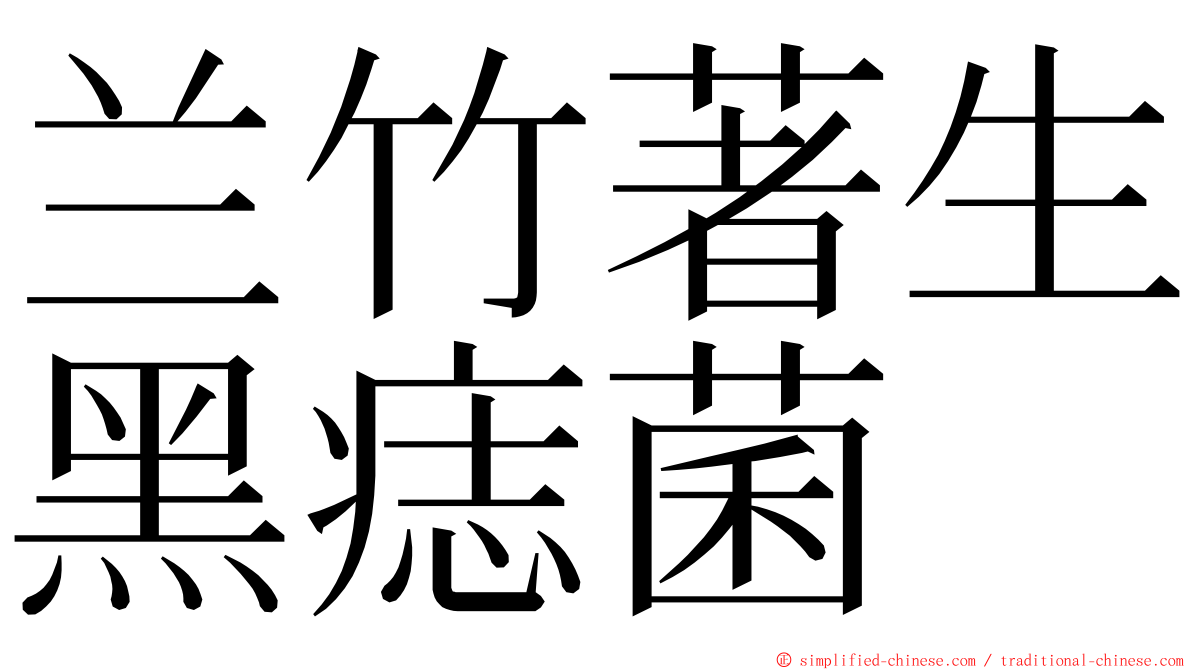 兰竹著生黑痣菌 ming font