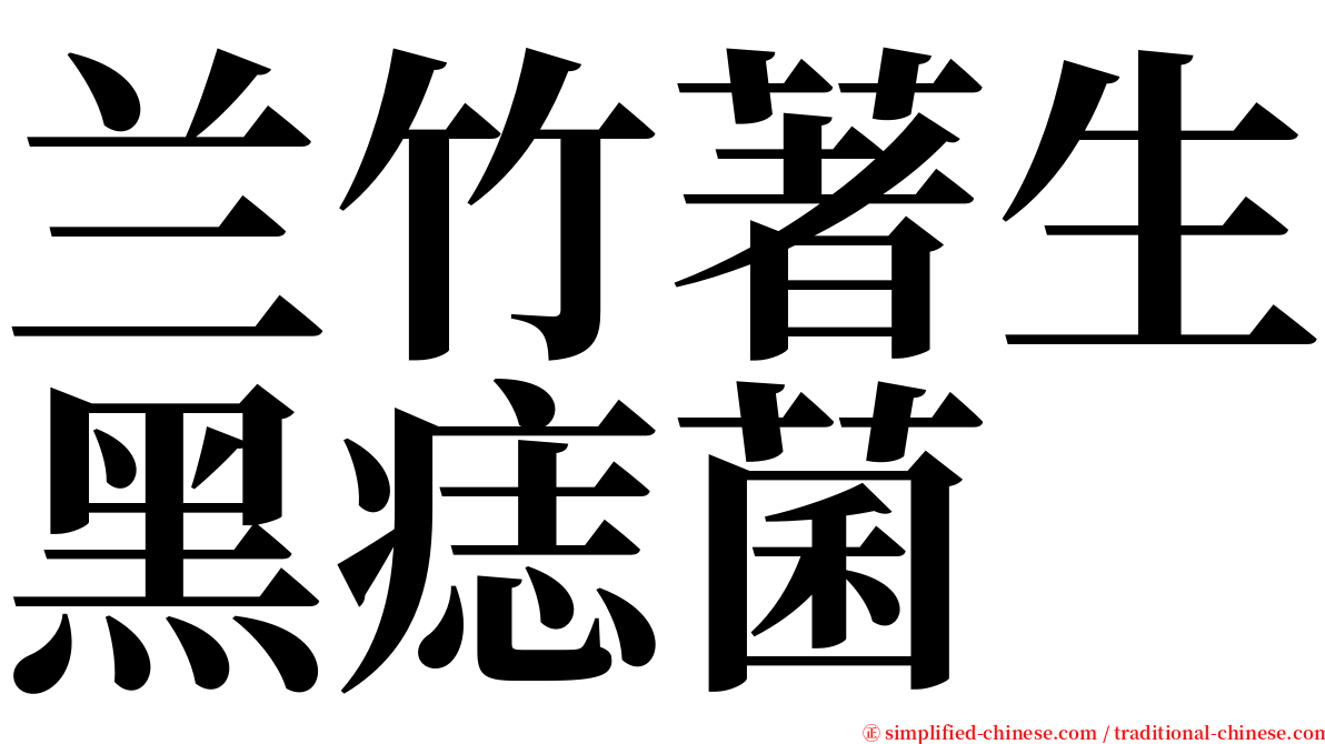 兰竹著生黑痣菌 serif font