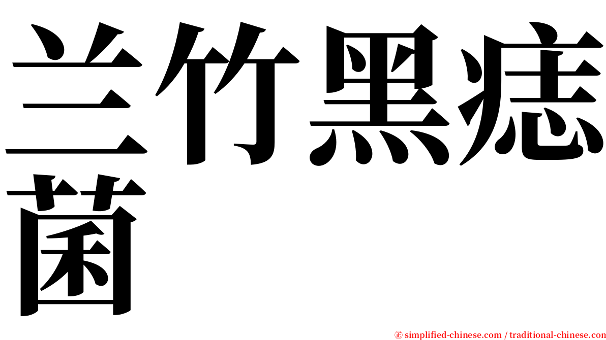 兰竹黑痣菌 serif font