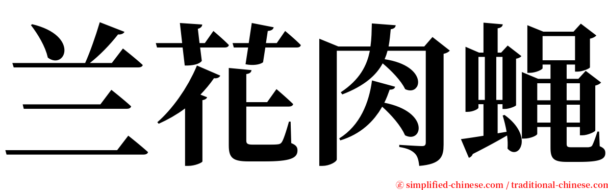 兰花肉蝇 serif font