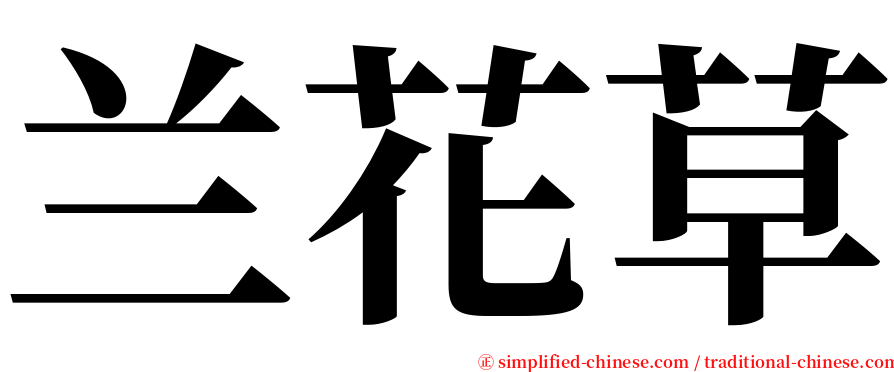 兰花草 serif font