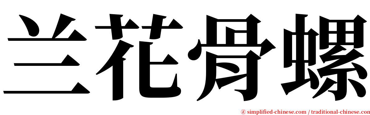 兰花骨螺 serif font