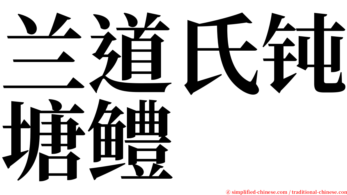 兰道氏钝塘鳢 serif font