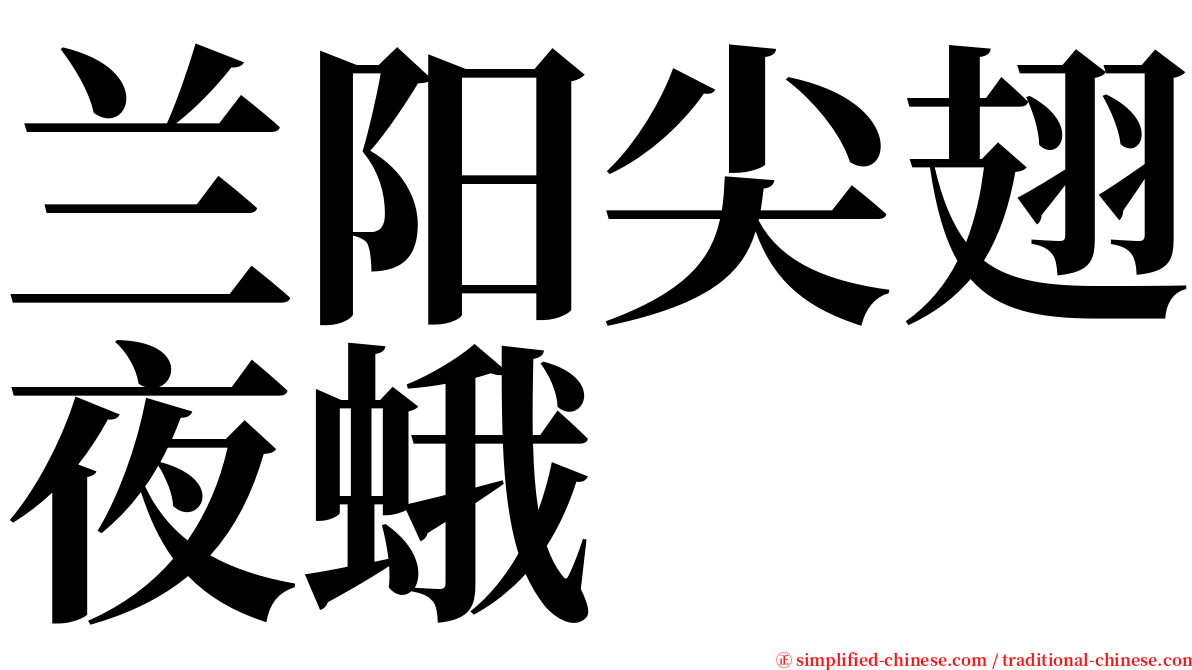 兰阳尖翅夜蛾 serif font