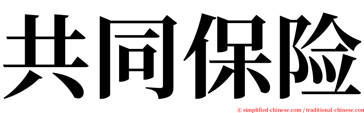 共同保险 serif font