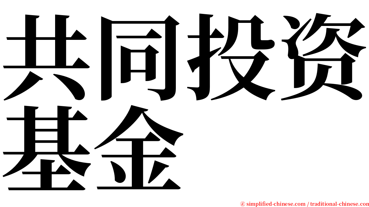 共同投资基金 serif font