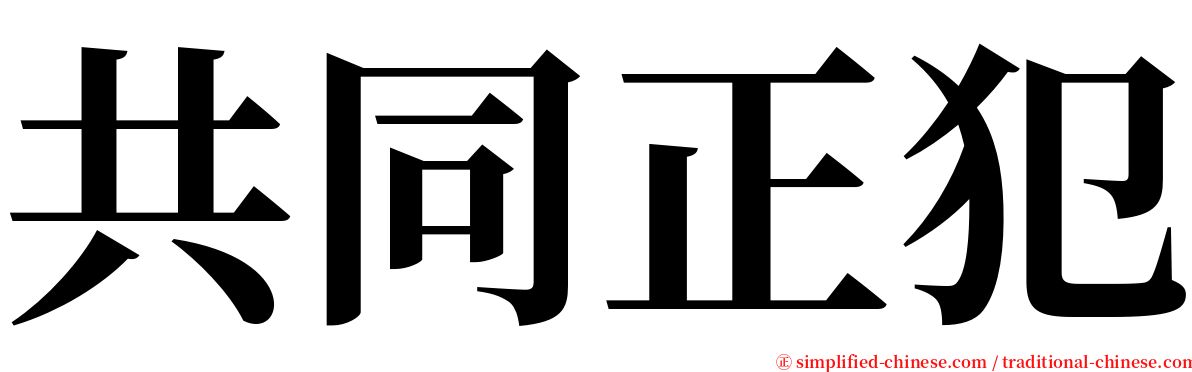 共同正犯 serif font