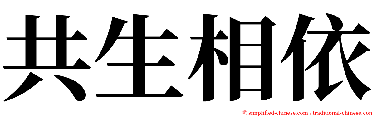 共生相依 serif font