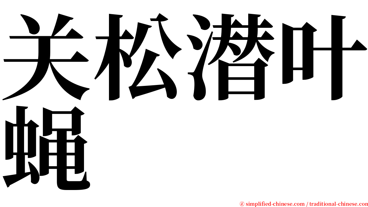 关松潜叶蝇 serif font