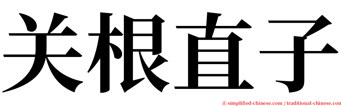 关根直子 serif font