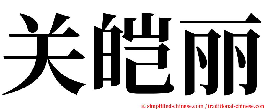 关皑丽 serif font