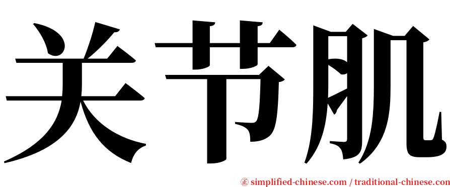 关节肌 serif font