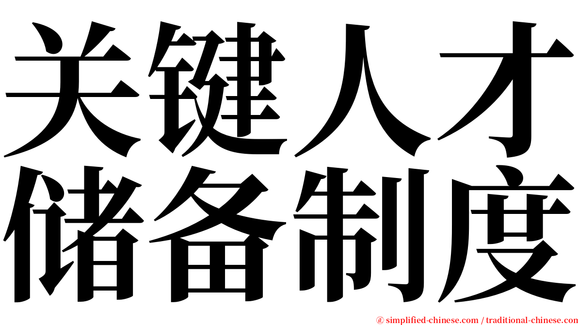 关键人才储备制度 serif font