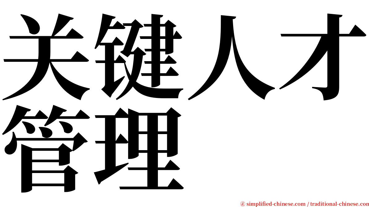 关键人才管理 serif font