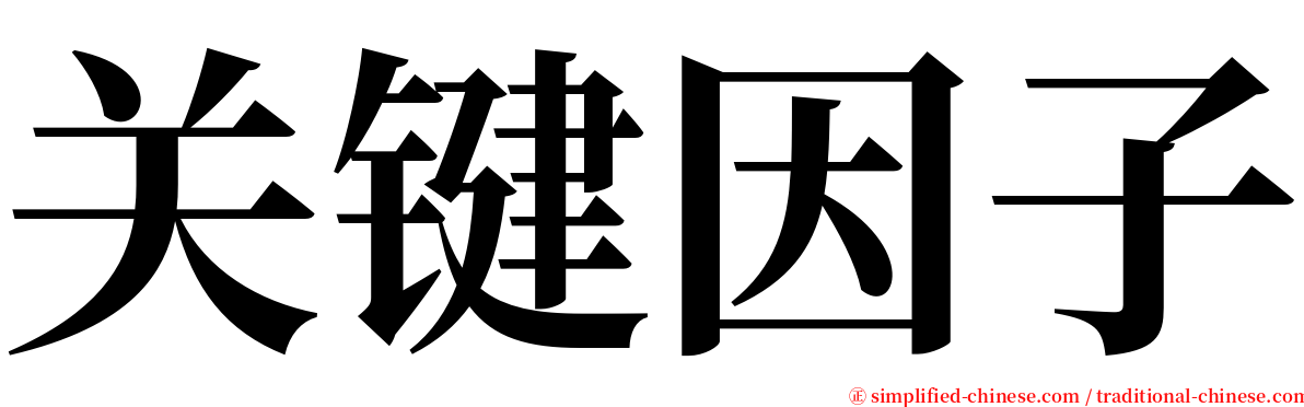 关键因子 serif font